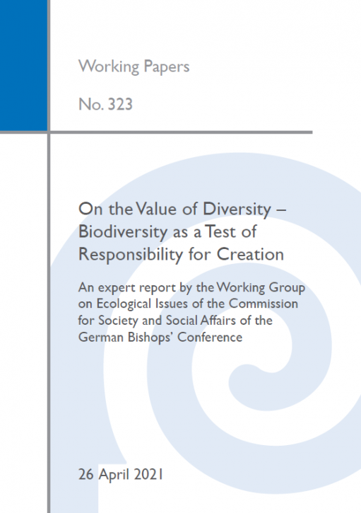 On the Value of Diversity – Biodiversity as a Test of Responsibility for Creation